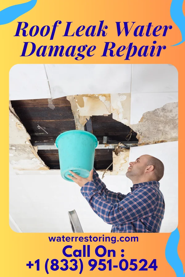 Roof Leak Water Damage Repair in Auburntown, TN